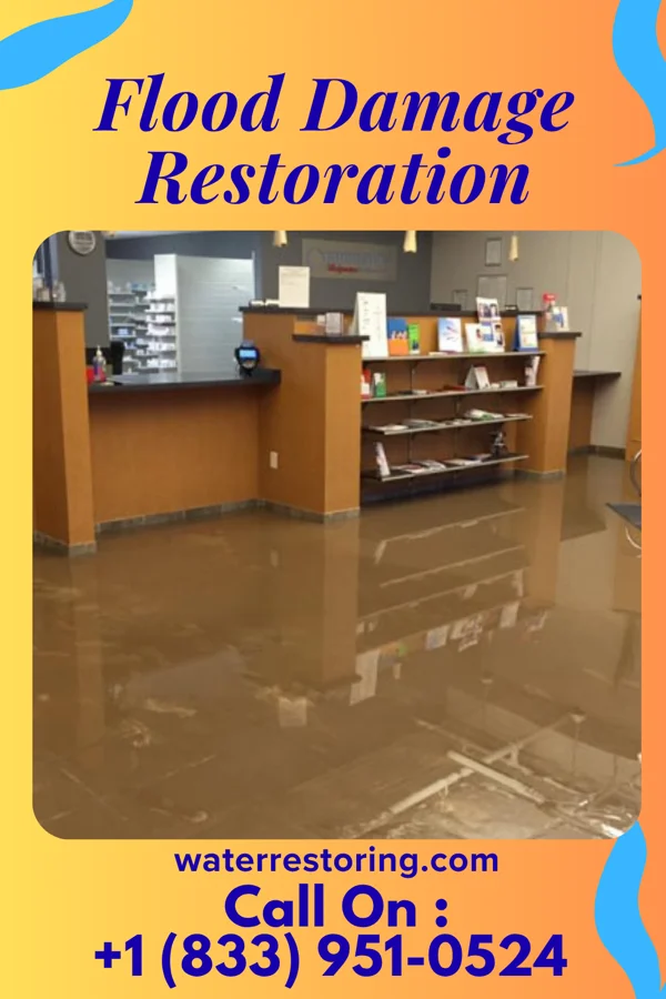 Flood Damage Restoration in Star Prairie, WI
